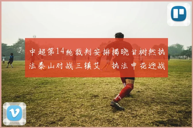 中超第14轮裁判安排揭晓甘树然执法泰山对战三镇艾堃执法申花迎战新鹏城